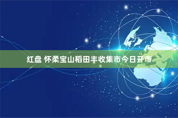 红盘 怀柔宝山稻田丰收集市今日开市