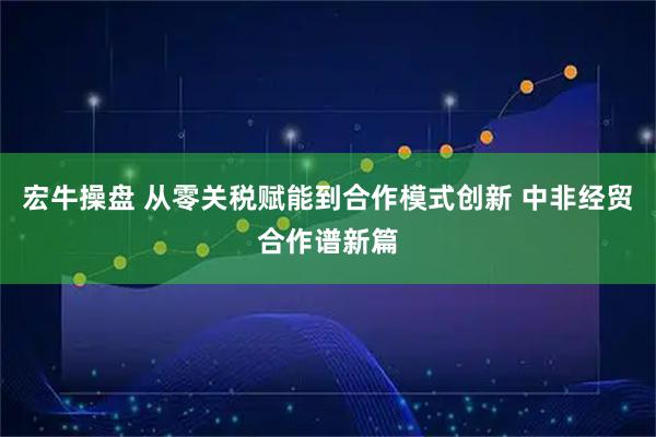 宏牛操盘 从零关税赋能到合作模式创新 中非经贸合作谱新篇