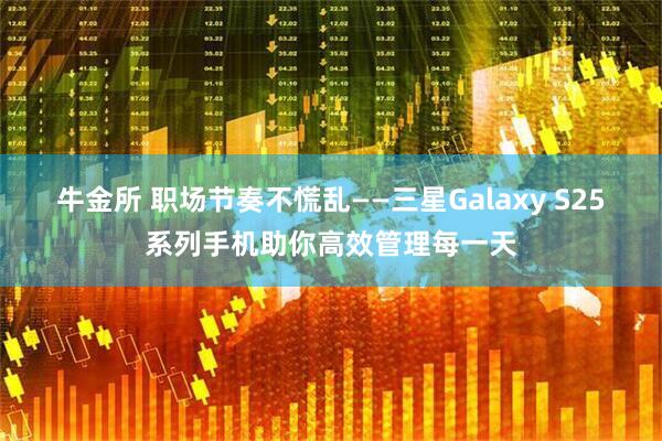 牛金所 职场节奏不慌乱——三星Galaxy S25系列手机助你高效管理每一天