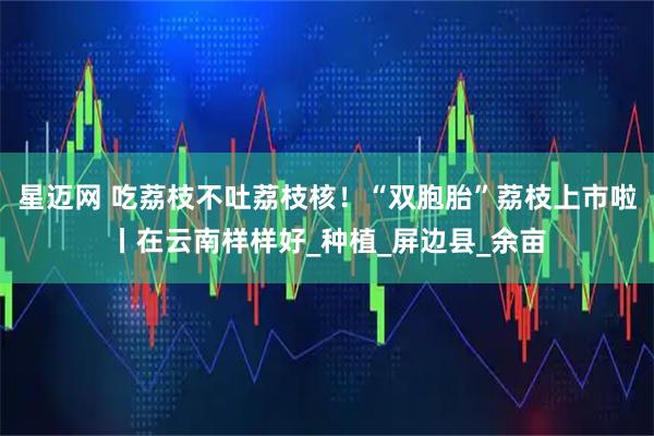星迈网 吃荔枝不吐荔枝核！“双胞胎”荔枝上市啦丨在云南样样好_种植_屏边县_余亩